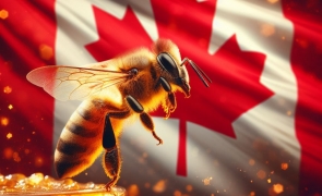 Rekordy kanadyjskiego pszczelarstwa