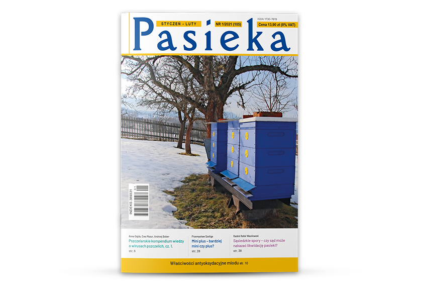 Pasieka nr 01/2021