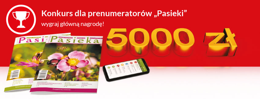 Zaprenumeruj Pasiekę i wygraj 5000 zł