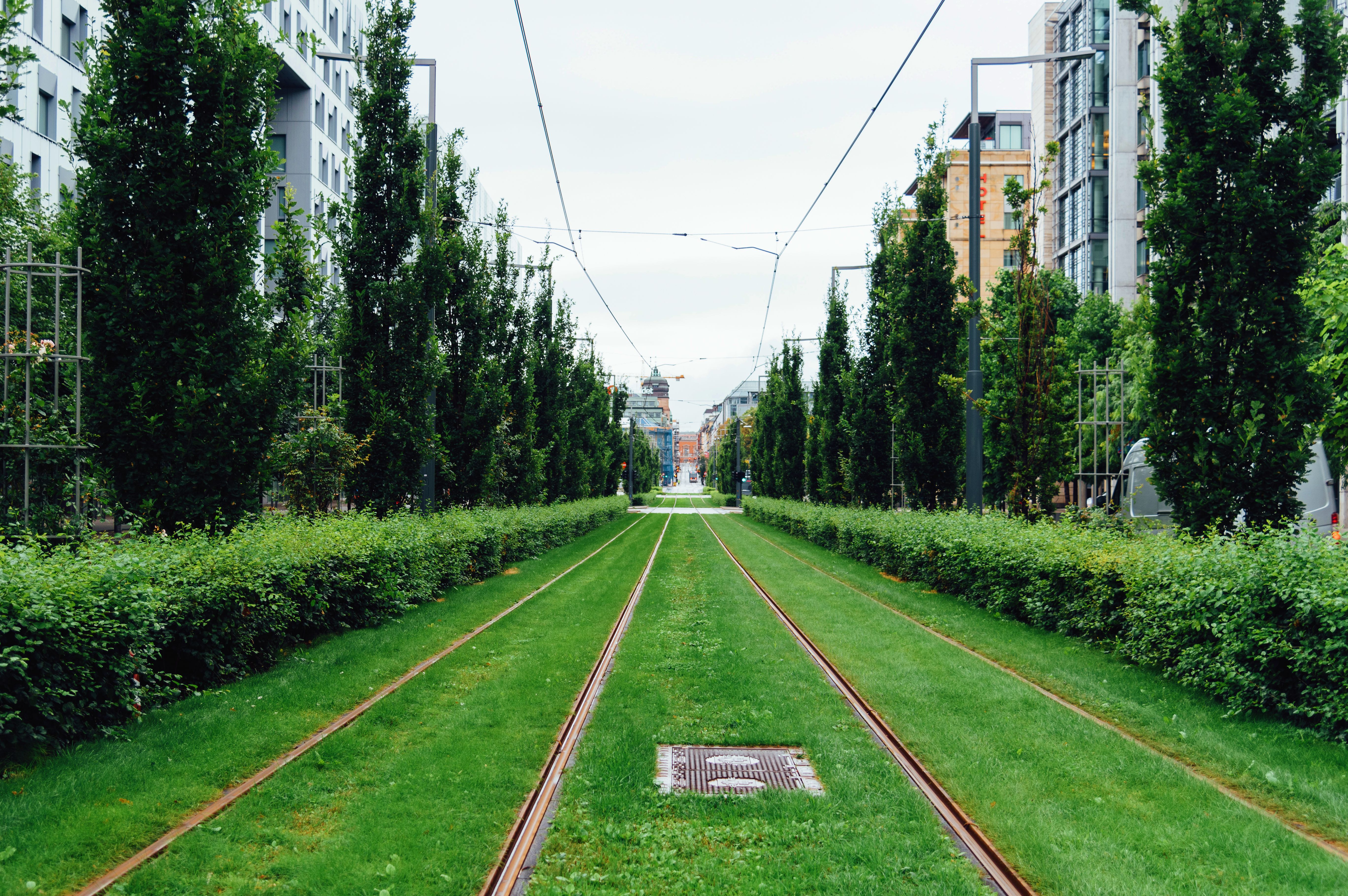 najbardziej_zielone_miasto_swiata