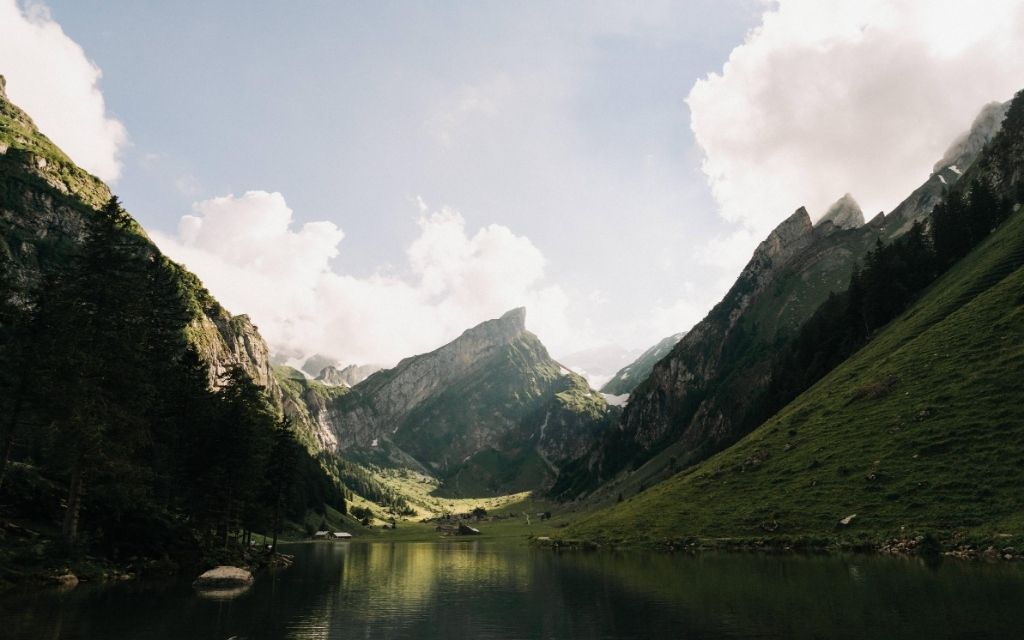 Austria ule produkcja miodu