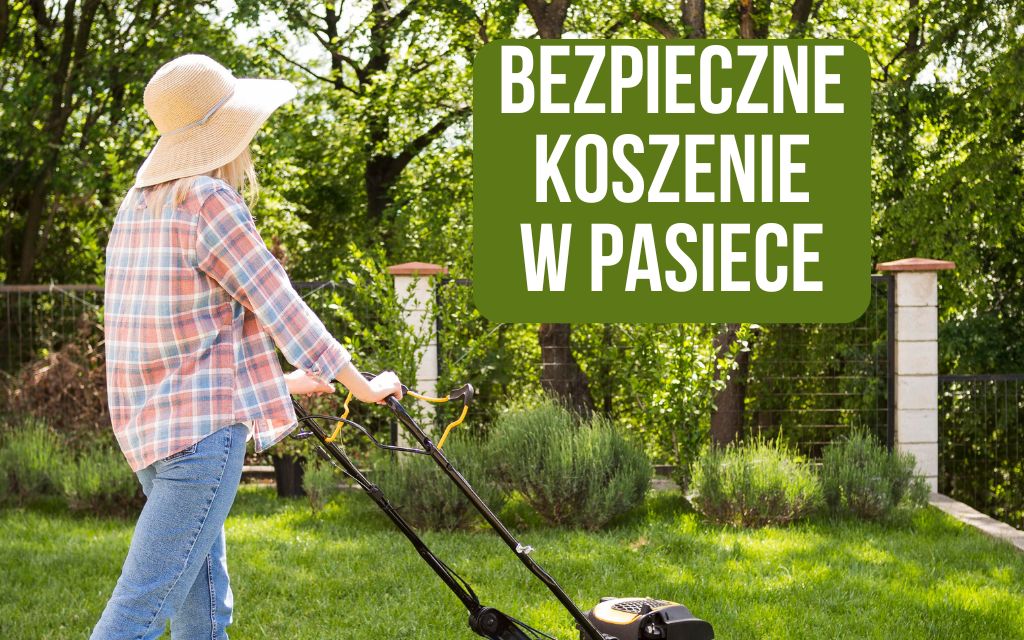 Pszczoły są agresywne w czasie koszenia. Co zrobić?