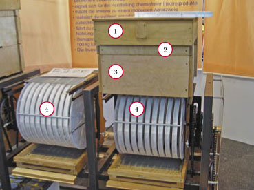 Ul węgierski dostosowany do biologicznej walki z warrozą