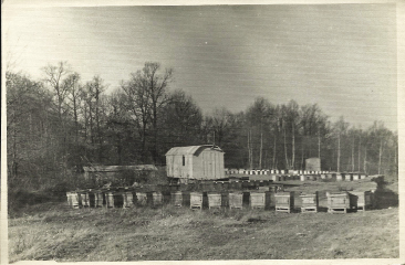 Pasieka J. Słoneckiego w latach 60-tych - fot. archiwum