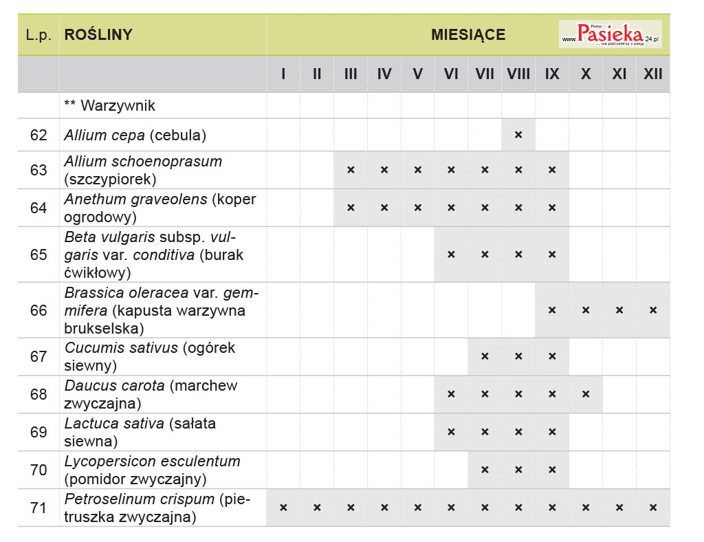 Pasieka nr 88 (ogrod_tabela-2)