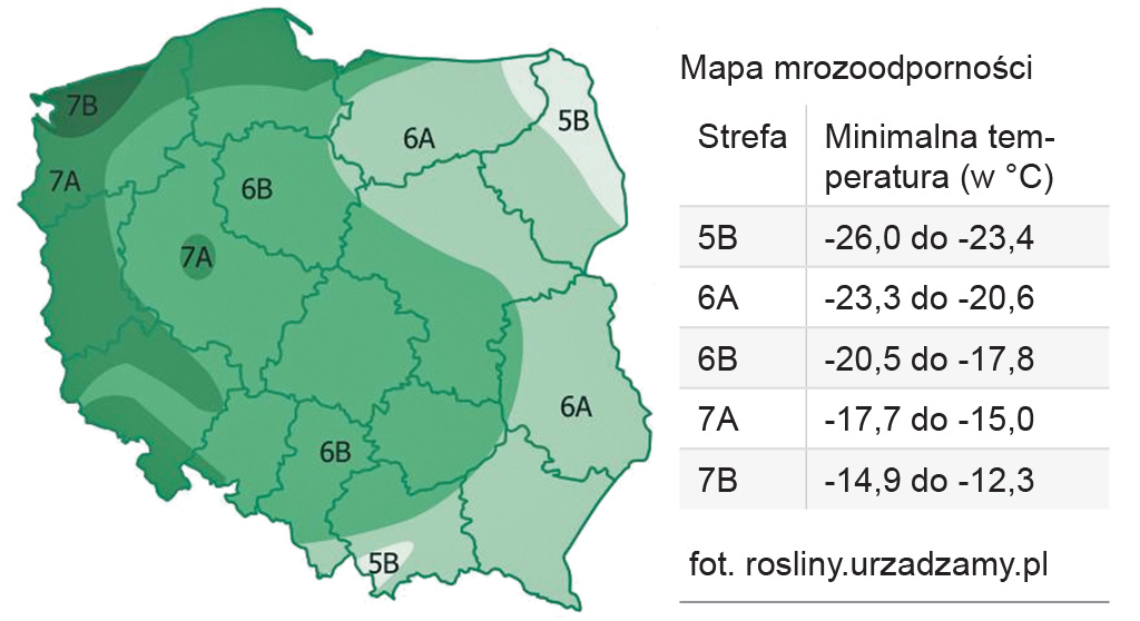 Pasieka nr 93 ([PAS93], styczeń-luty 2019, ogrody_mapa)