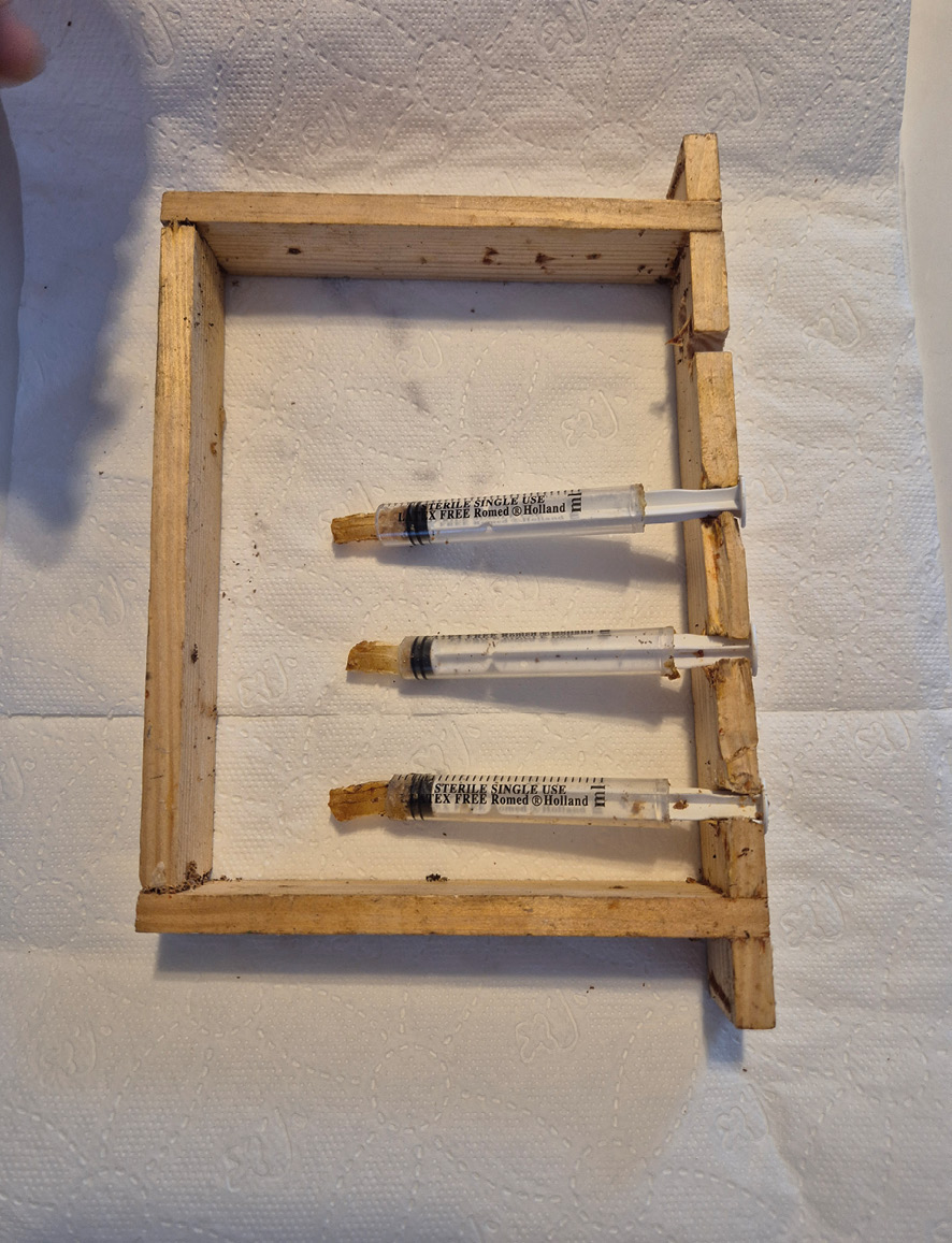 Fot. 7. Ramka ze strzykawkami.