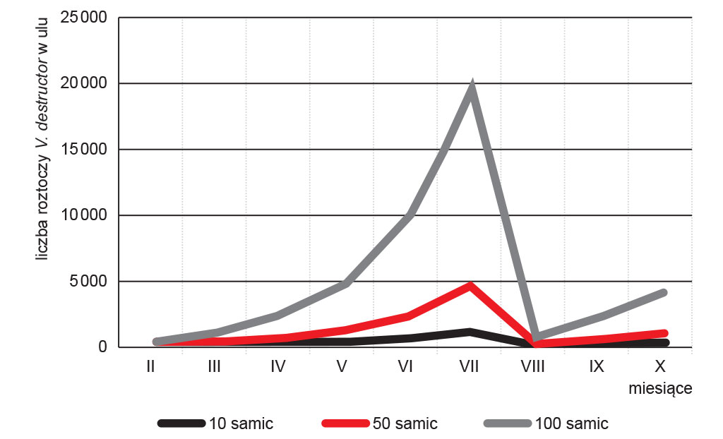 Pokonaj Warroze (Liczebnosc_samic_varroa.jpg)