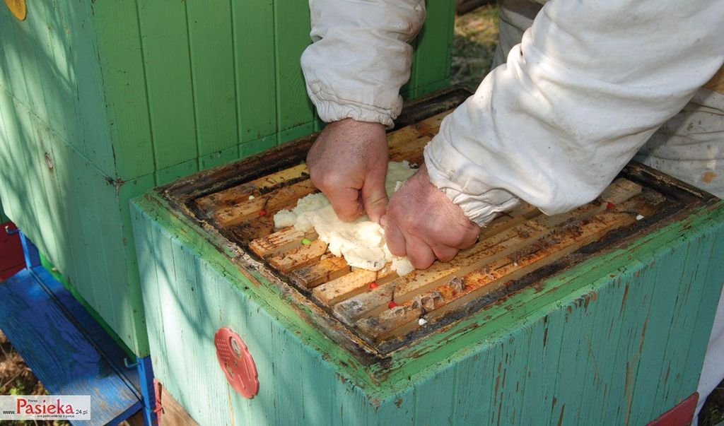 Wielki poradnik pasieczny