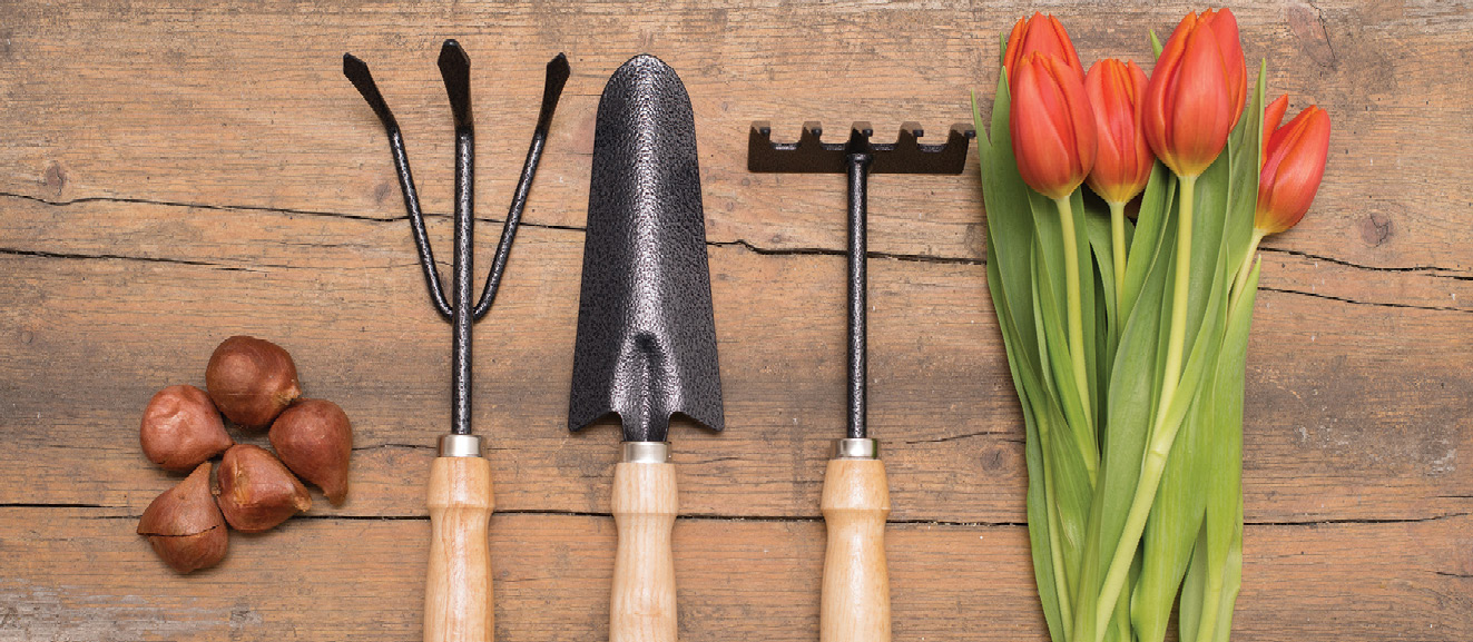 K2000 - Jak prowadzic ekoogród