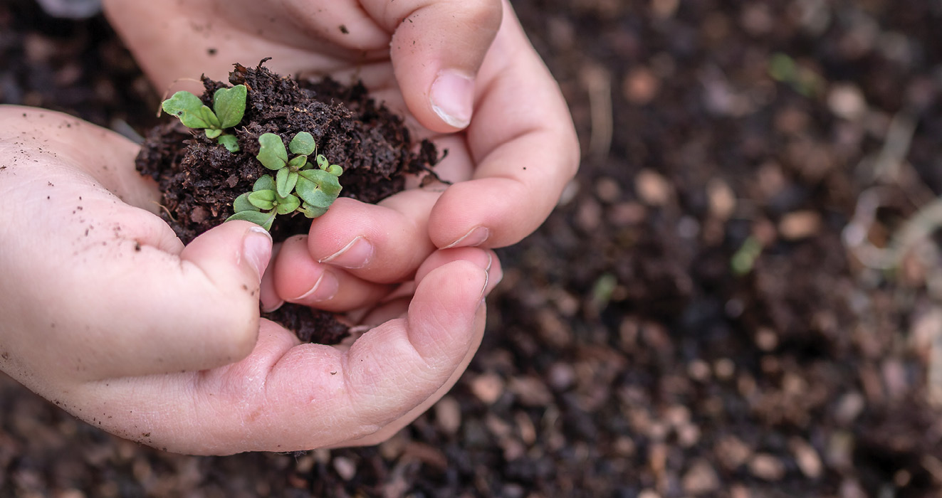 K2000 - Jak prowadzic ekoogród