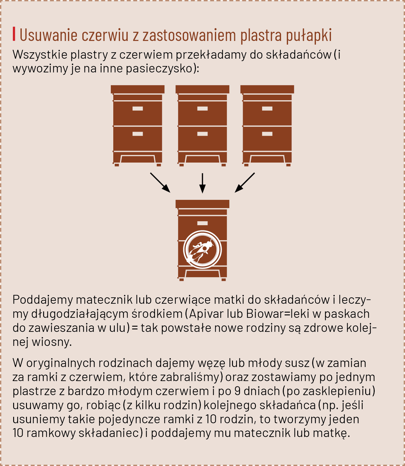 K231 Kompedium wiedzy o warrozie