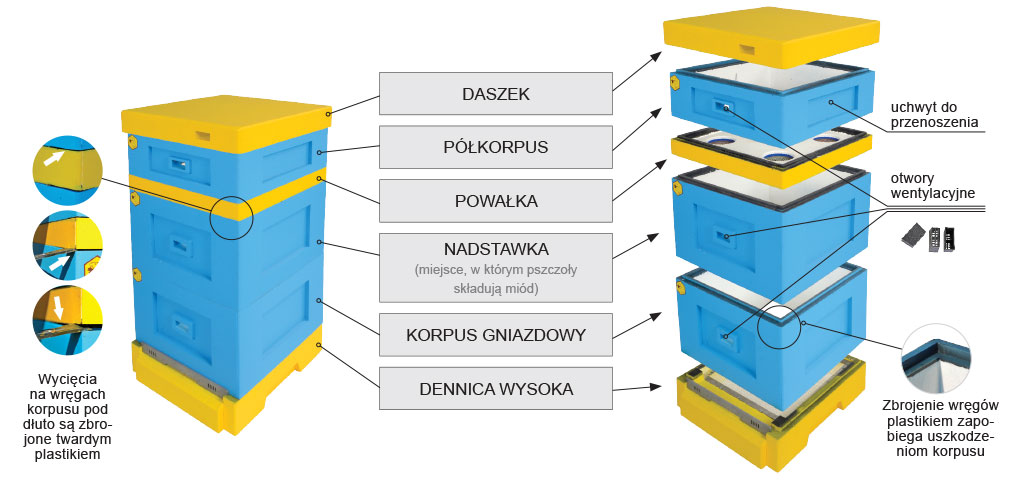 Pasieka nr 1 (jaki-ul-rys1.jpg)