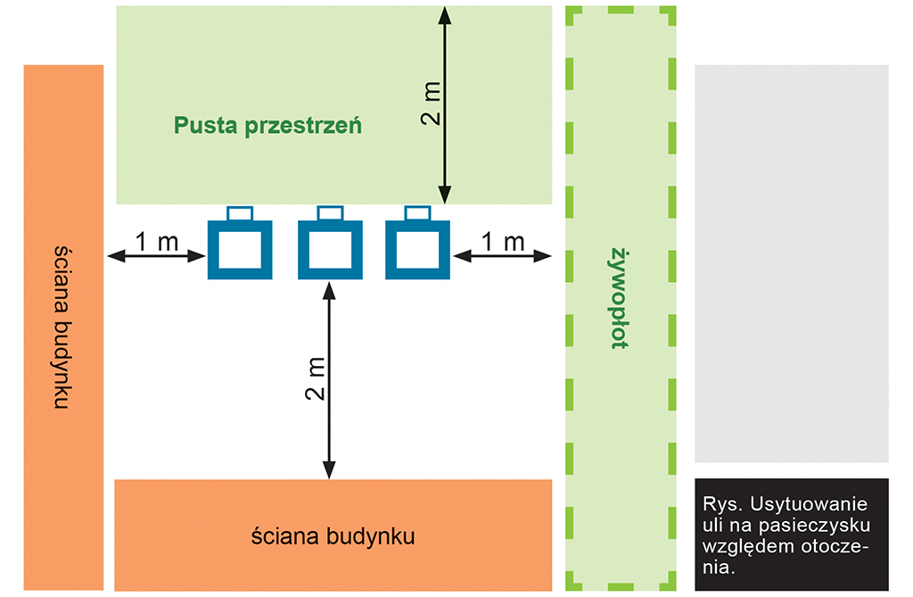 pasieka nr 1 (usytuowanie_uli_na_pasieczysku_wzg_otoczenia.jpg)