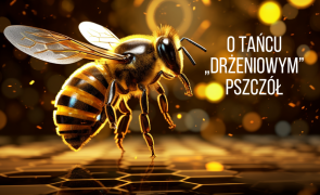 O tańcu „drżeniowym” pszczół