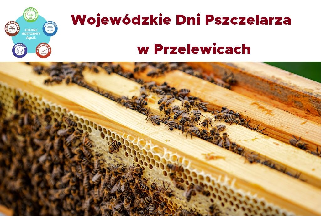 wojewodzkie dni pszczelarza w przelewicach